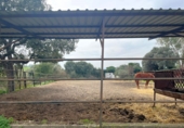 Rural estate for sale in Jimena de la Frontera ref: TR389072 photo