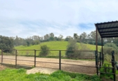 Rural estate for sale in Jimena de la Frontera ref: TR389072 photo