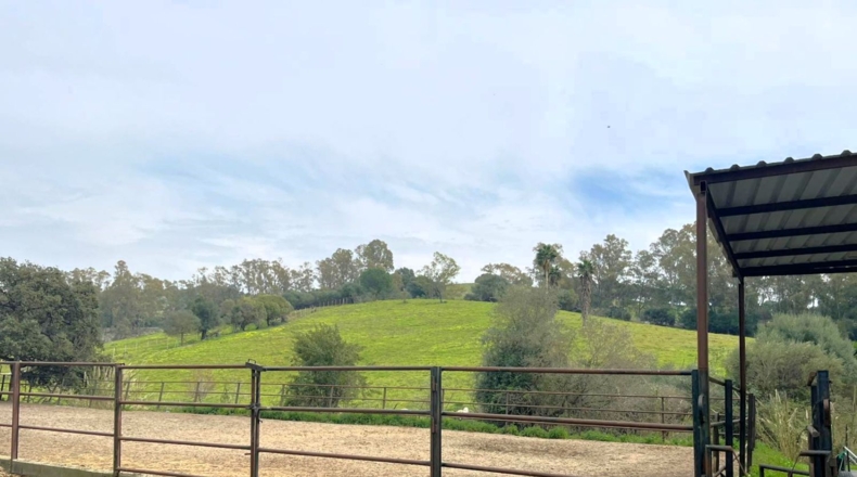 Cádiz - Jimena de la Frontera - 54000m2