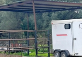 Rural estate for sale in Jimena de la Frontera ref: TR389072 photo