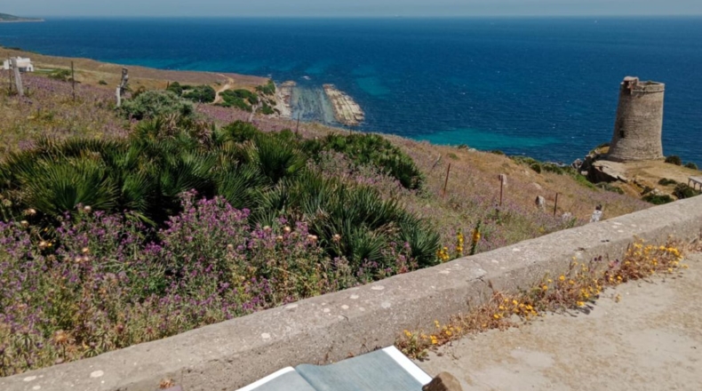 Alicante - Alicante - 11000m2