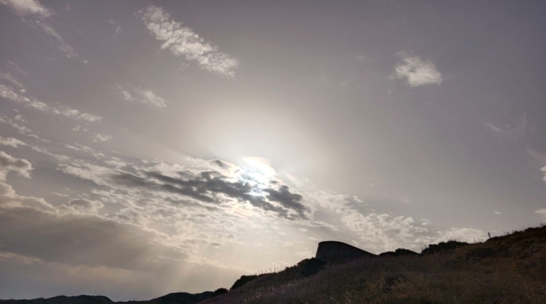 Alicante - Alicante - 11000m2