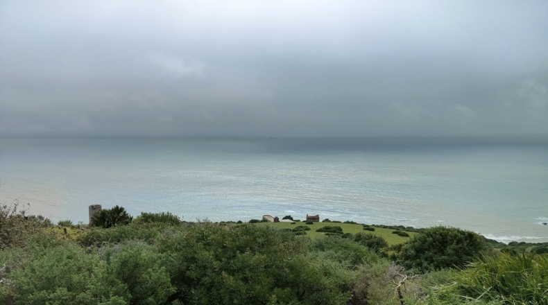 Alicante - Alicante - 11000m2