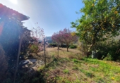 Casa de pueblo en venta en Candamo ref: TR389270 foto