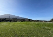 Land suitable for development for sale in La Espasa ref: TR389075 photo