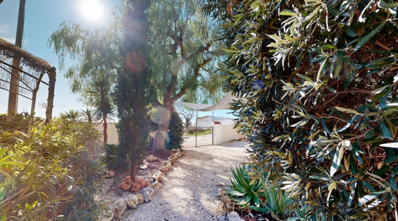 Alicante - Campello - 800m2