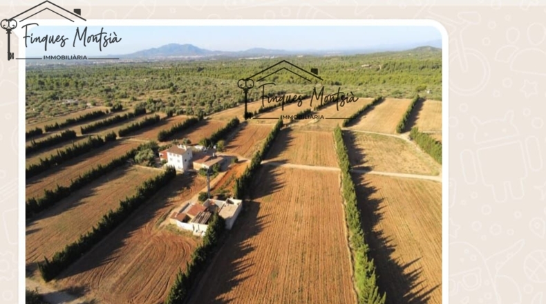 Tarragona - Camarles - 218591m2