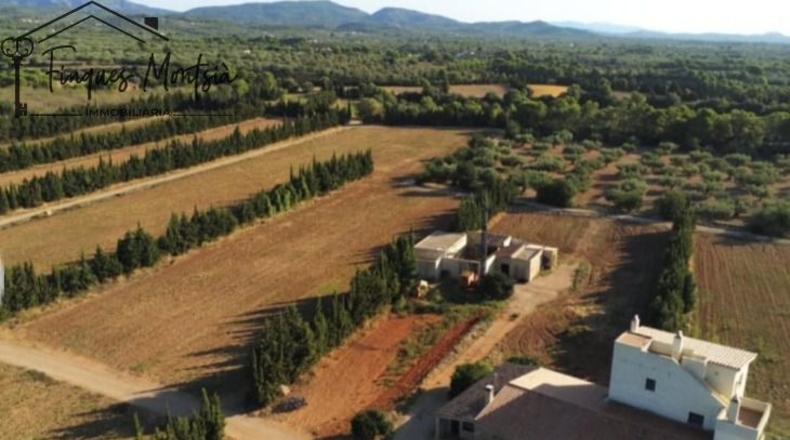 Tarragona - Camarles - 218591m2