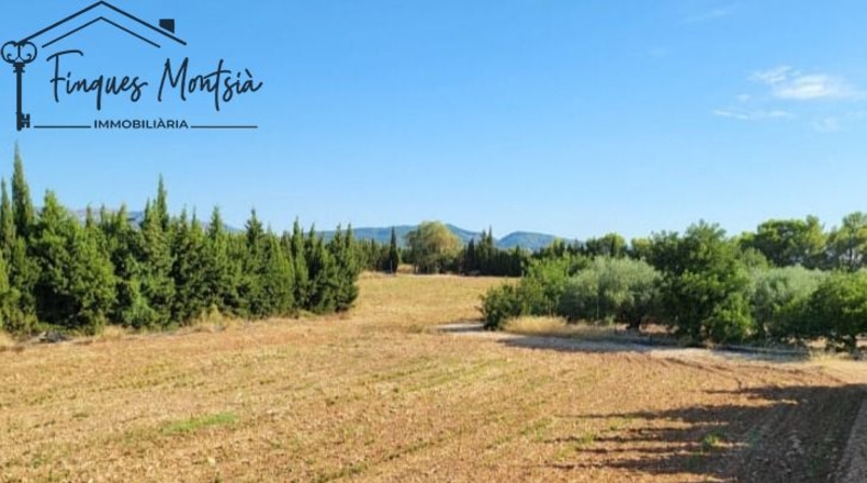 Tarragona - Camarles - 218591m2