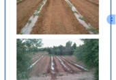 Земельный участок на продажу в городе Camarles. Фото
