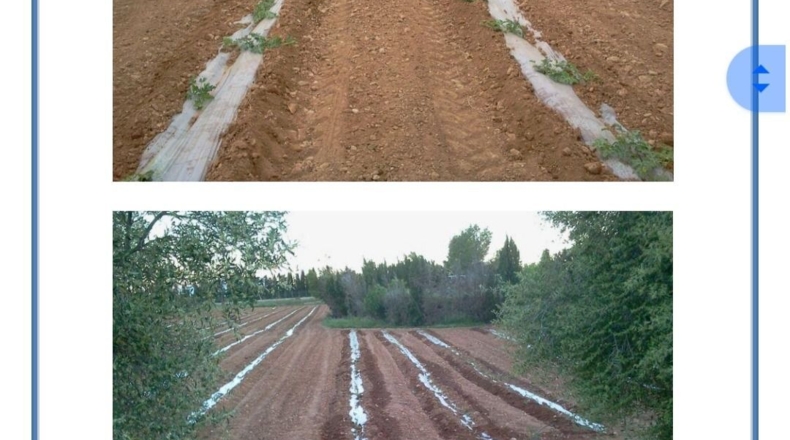 Tarragona - Camarles - 218591m2