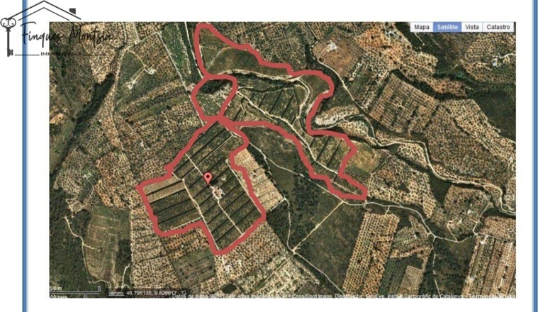 Tarragona - Camarles - 218591m2