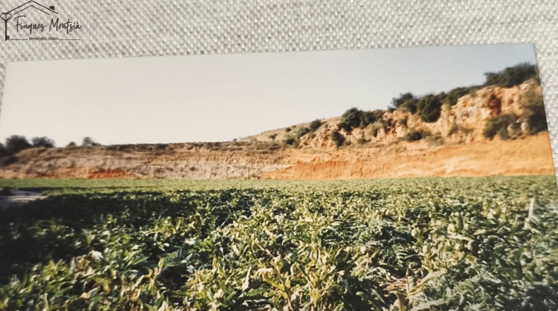 Tarragona - Camarles - 218591m2