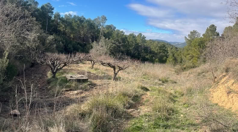 Valencia - Valencia - 500000m2