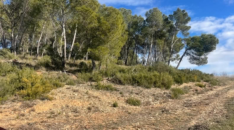 Valencia - Valencia - 500000m2