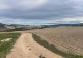 Rural estate for sale in Valencia ref: TR389526 photo