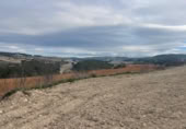 Rural estate for sale in Valencia ref: TR389526 photo