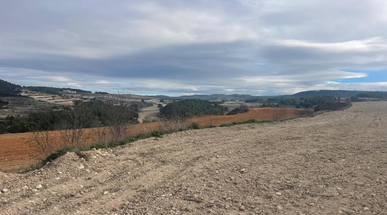 Valencia - Valencia - 500000m2