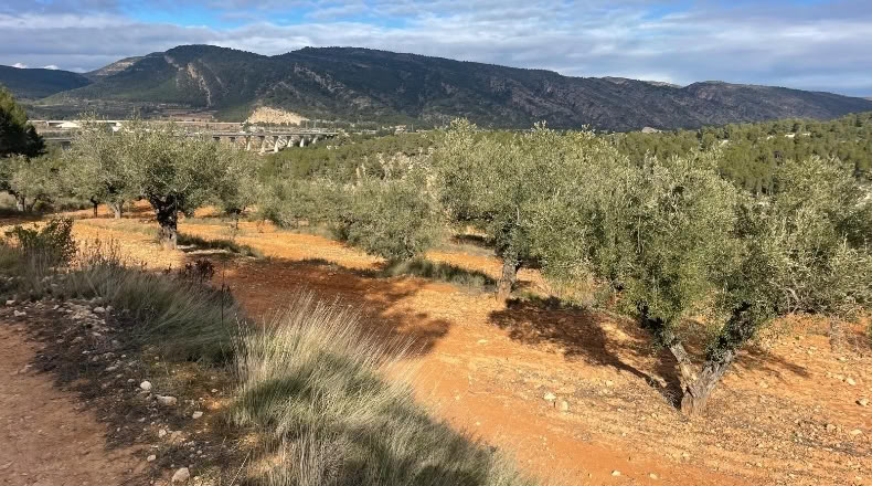 Valencia - Valencia - 500000m2