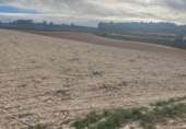 Rural estate for sale in Valencia ref: TR389526 photo