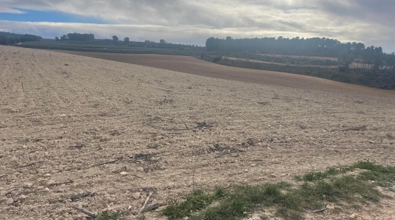 Valencia - Valencia - 500000m2