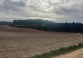 Rural estate for sale in Valencia ref: TR389526 photo