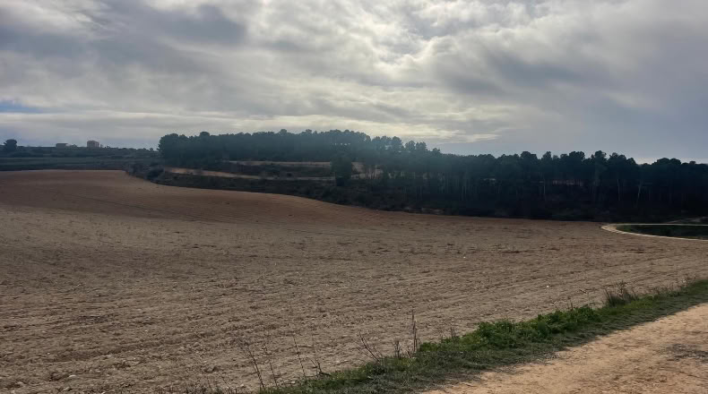 Valencia - Valencia - 500000m2