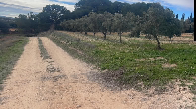 Valencia - Valencia - 500000m2
