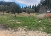 Rural estate for sale in Valencia ref: TR389526 photo