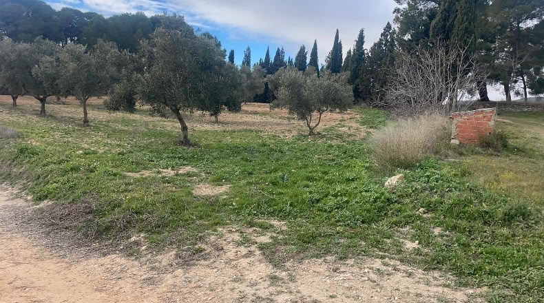 Valencia - Valencia - 500000m2