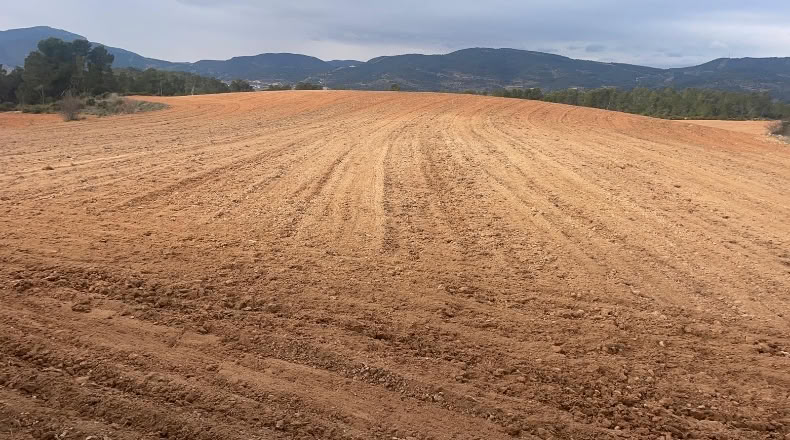 Valencia - Valencia - 500000m2