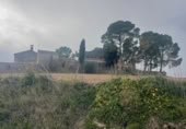 Rural estate for sale in Valencia ref: TR389526 photo