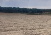 Rural estate for sale in Valencia ref: TR389526 photo