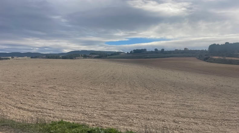 Valencia - Valencia - 500000m2