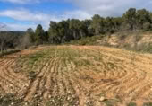 Rural estate for sale in Valencia ref: TR389526 photo
