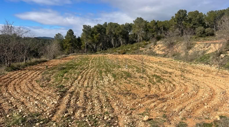Valencia - Valencia - 500000m2