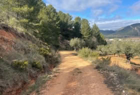 Foto 19