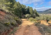 Rural estate for sale in Valencia ref: TR389526 photo