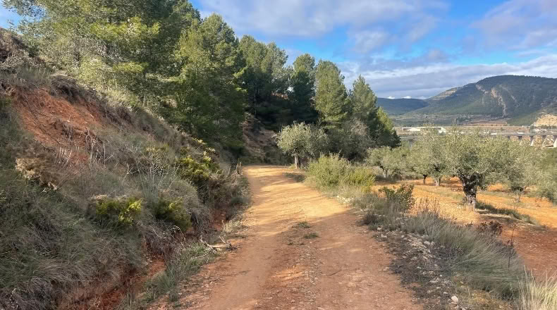 Valencia - Valencia - 500000m2