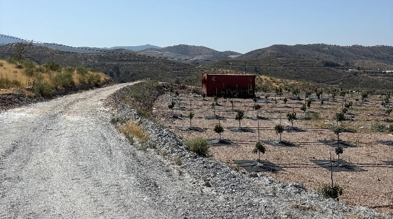 Granada - Vélez de Benaudalla - 39000m2