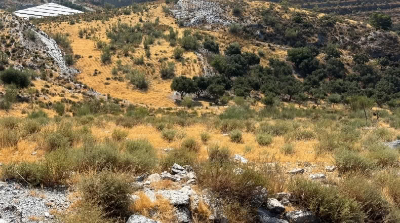 Granada - Vélez de Benaudalla - 39000m2