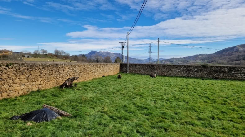 Asturias - Infiesto - 1165m2