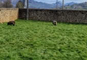Terreny amb magatzem en venda a la INFIESTO, Infiesto, ref.: TR389700 foto