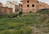 Suelo urbano en venta en la Avenida Europa, Begíjar, ref: TR389655 foto