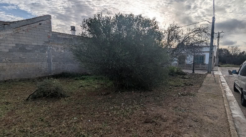 Illes Balears - Santañy - 275m2