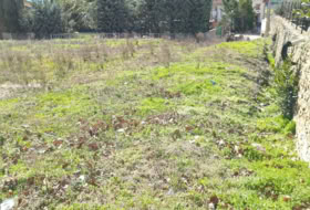 Aibar 530&nbsp;m² 