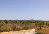 Xalet independent amb terreny en lloguer a la España, ses Salines, ref.: TR400248 foto