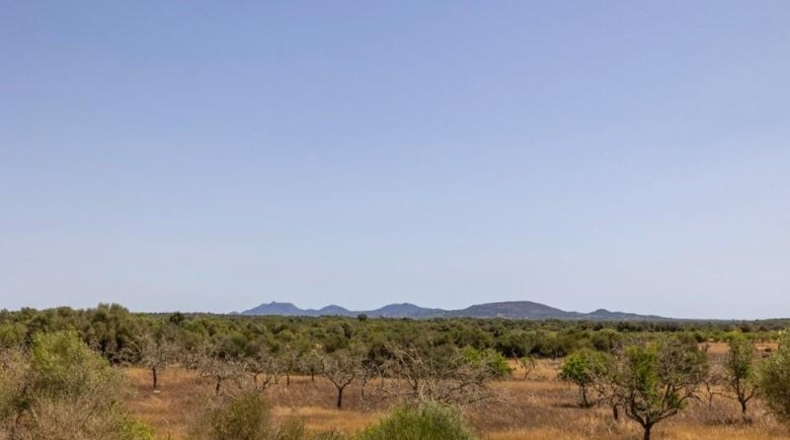 Illes Balears - Las Salinas - 240000m2