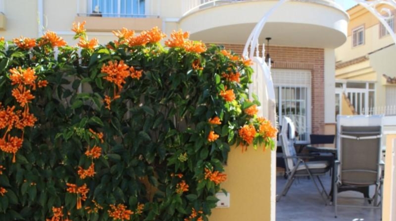 Alicante - Orihuela - 115m2