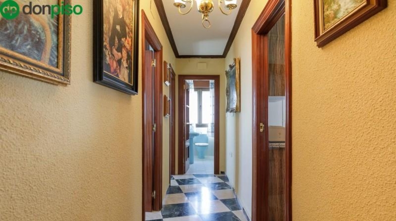 Málaga - Málaga - 1000m2